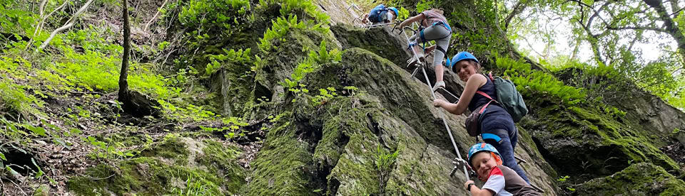 Die Campteilnehmer am Klettern