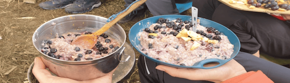 Haferbrei und Beeren in einer Schale