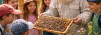 Kinder beim Besuch beim Imker