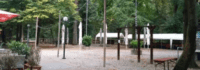 Biergarten