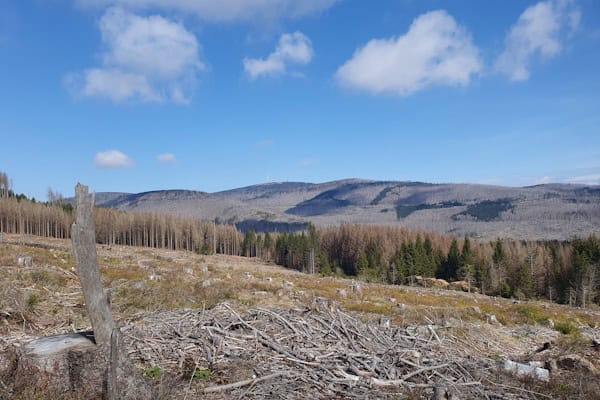 Ausblick bei der Harz Wanderung