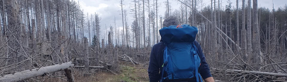 Teilnehmer beim Wandern