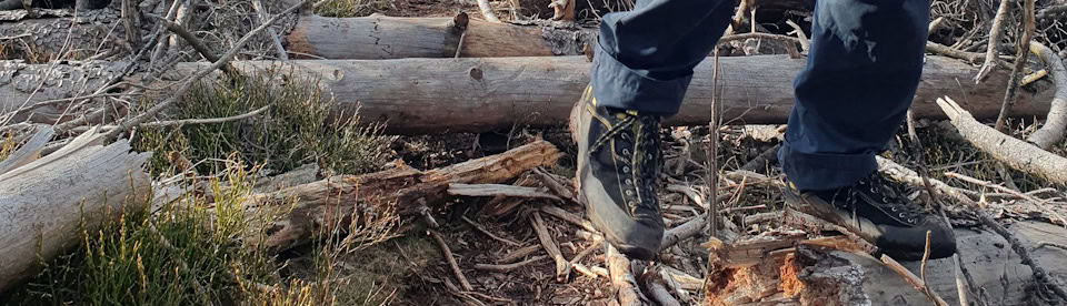 Wanderung über Äste