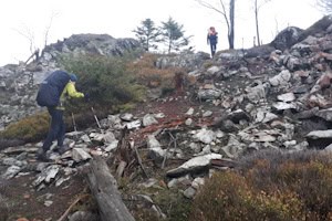 Teilnehmer bei der Wanderung Harz