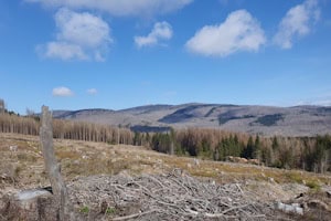 Tolle Aussicht bei der Wanderung