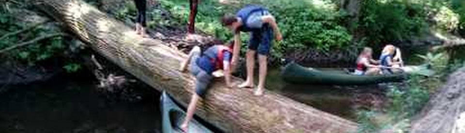 Jungs klettern über einen Baum, der im Wasser liegt