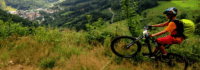 Mountainbiker fährt im Grünen