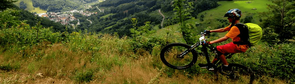Mountainbiker fährt im Grünen
