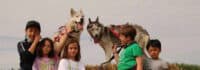 Huskys im Adventurecamp