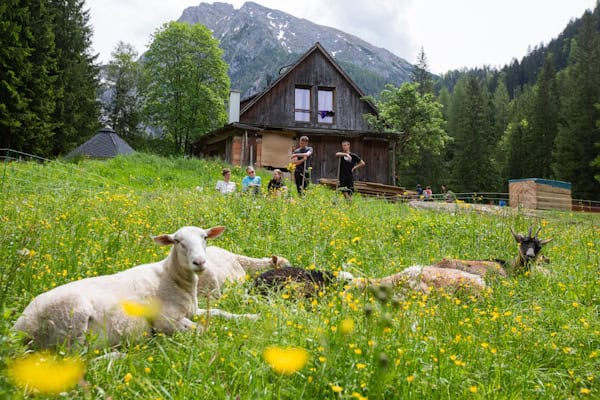 Alm Camp in Oberösterreich