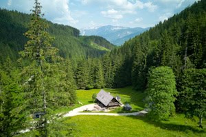 Unterkunft Stefansbergalm