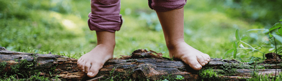 Kinder auf Baumstamm