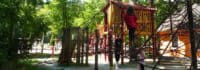 Kinder spielen am Spielplatz