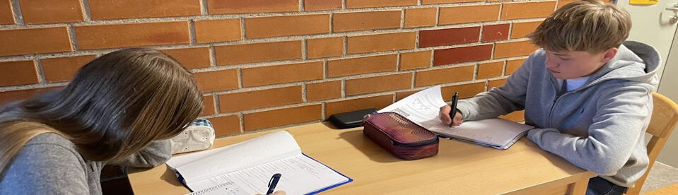 Jugendliche beim Lernen