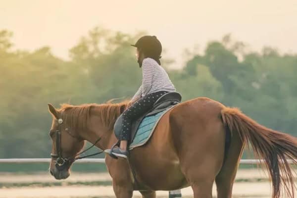 Spaß im Reit Camp auf Schloss Altenhausen