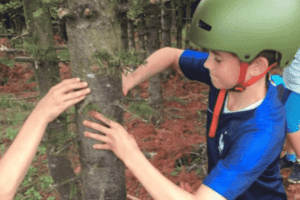 Junge mit Baum