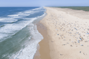 Küste am Atlantik in Frankreich