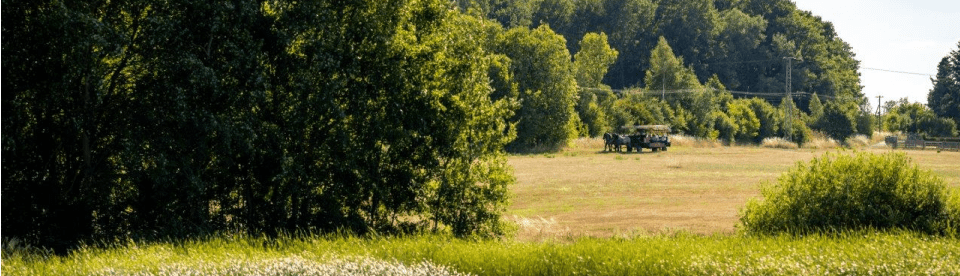 Kutschfahrt