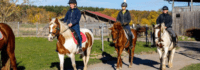 Kinder reiten auf Pferden