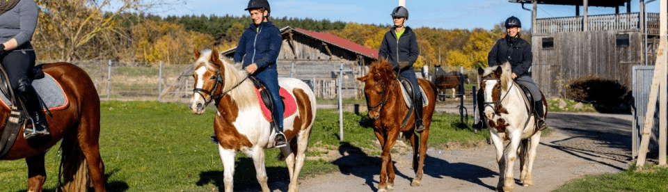 Kinder reiten auf Pferden
