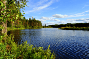 Fluss in Schweden