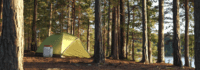 Zelt im Wald