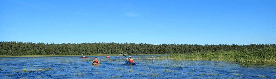 Kajaks zwischen Seerosen