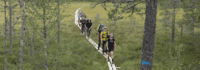 Feriencamps Tirol, Jugendliche beim Wandern auf schmalen Pfad