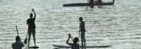 Stand Up Paddling