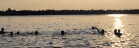 Kinder im See