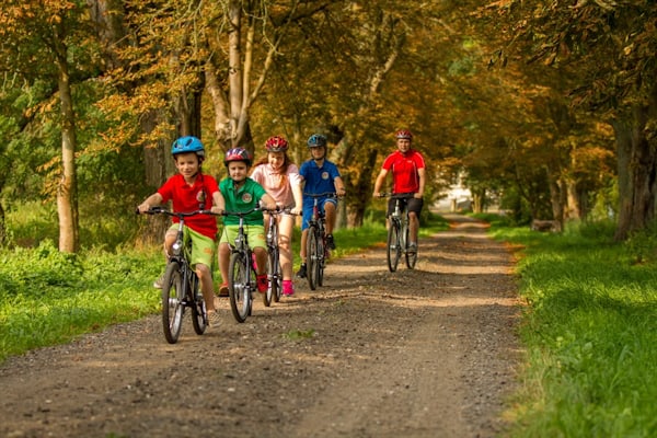Kinder fahren auf Fahrrädern durch den Wald