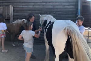 Kindern striegeln ein weiß-schwarzes Pferd
