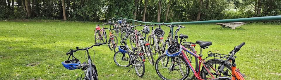 Viele Fahrräder auf einer Wiese