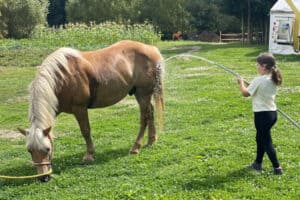 Erfrischung für die Pferde im Reitcamp