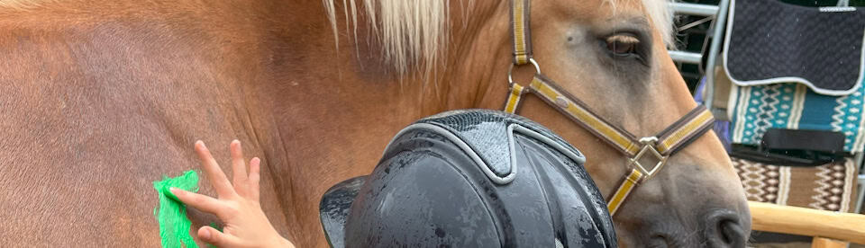 Ponys werden mit Fingerfarbe bemalt