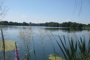 Oberlausitzer Heide- und Teichlandschaft
