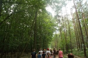 Wanderung im Waldabenteuer Camp
