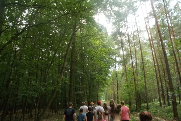 Wanderung im Waldabenteuer Camp