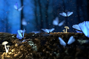 Märchencamp in Grüngräbchen