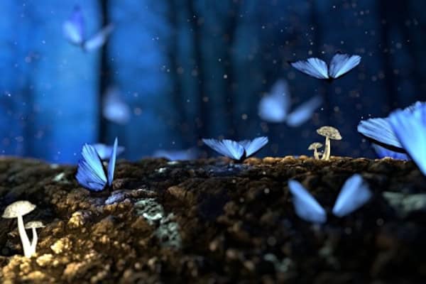 Märchencamp in Grüngräbchen