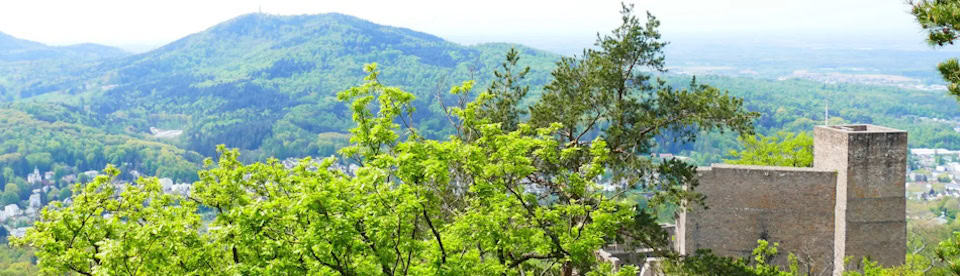 Die Umgebung von Altenberg