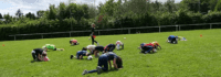 Wiese mit Kindern