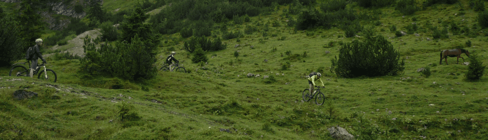 Biker fahren Trails durch Bergwiesen