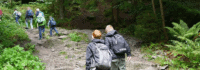 Entdeckertouren im Harz