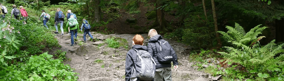 Erlebniswanderung durch den Wald
