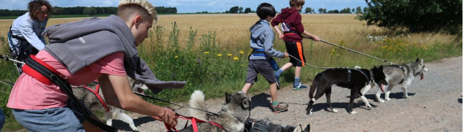 Hundeführung im Adventurecamp