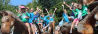 Kinder auf Holzpferden Ostseecamp Grömnitz