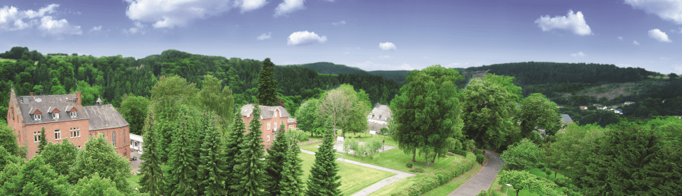 Stiftsberg Kyllburg
