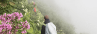 Junge wandert bei Nebel