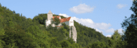 Burg auf Fels im Wald
